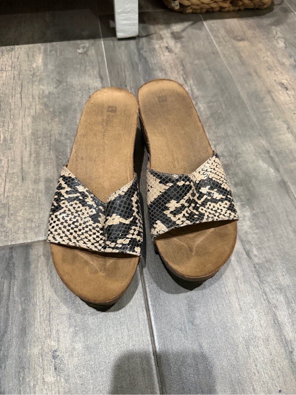 Womens Snake-Print Slide Sandals in Black & Cream